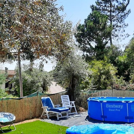 Adore Portugal Bungalow Natureza & Vista De Serra Lousã Dış mekan fotoğraf
