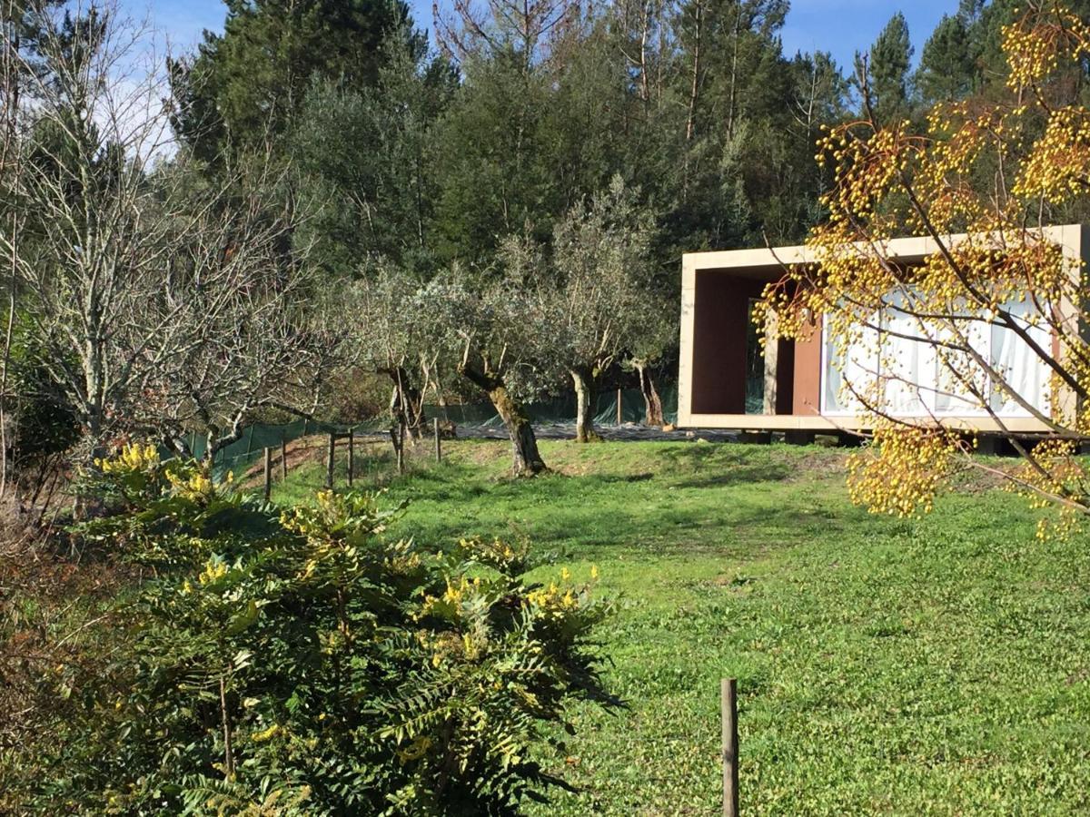 Adore Portugal Bungalow Natureza & Vista De Serra Lousã Dış mekan fotoğraf