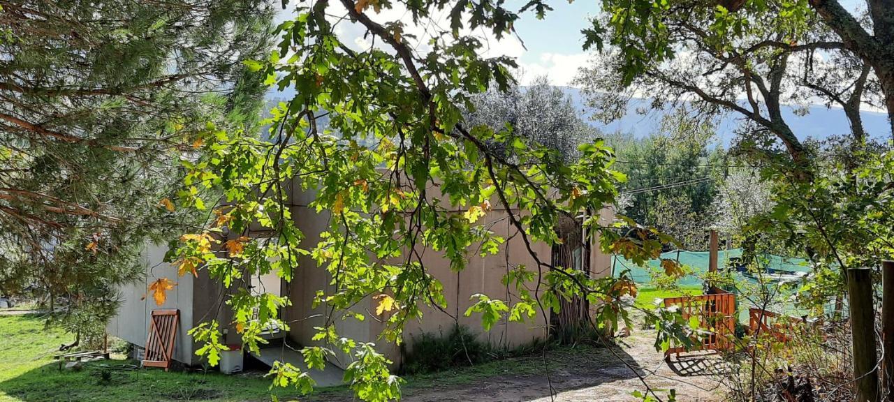 Adore Portugal Bungalow Natureza & Vista De Serra Lousã Dış mekan fotoğraf
