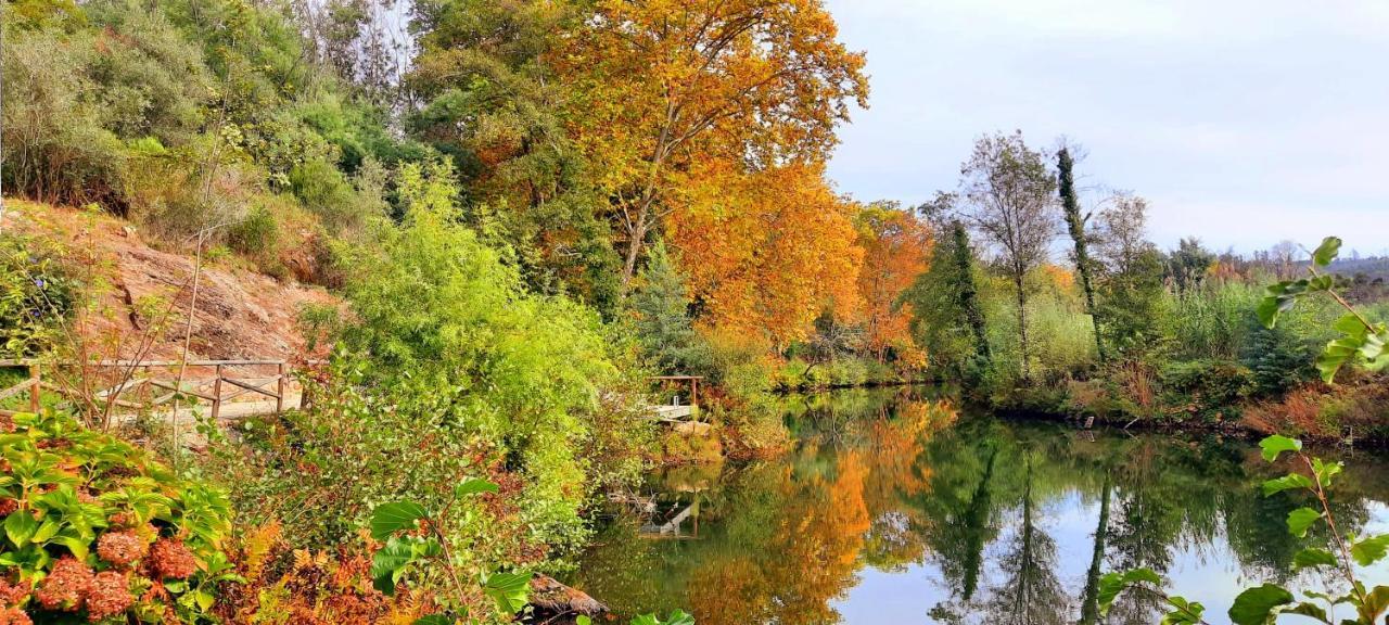 Adore Portugal Bungalow Natureza & Vista De Serra Lousã Dış mekan fotoğraf