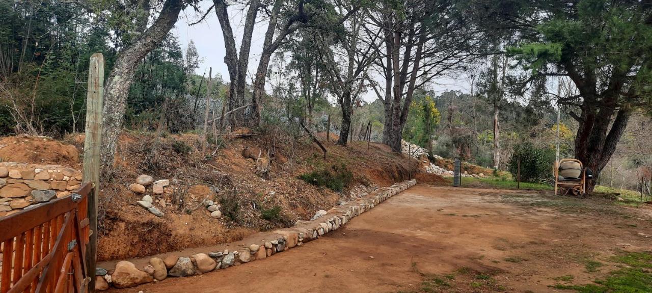 Adore Portugal Bungalow Natureza & Vista De Serra Lousã Dış mekan fotoğraf